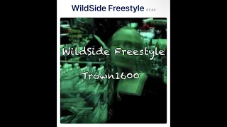 Perc$kylark ~ WildSide Freestyle