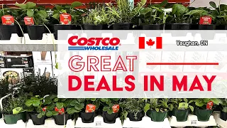 🇨🇦Costco Canada | Great Deals in May | New Findings of This Week | Various New & Clearance Items