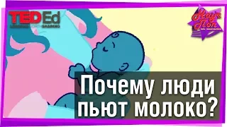 🥛 Почему люди пьют так много молока? #TED-Ed на русском