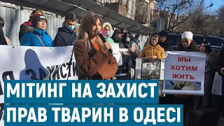 В Одесі мітингували проти бездіяльності поліції у справах жорстокого поводження з тваринами