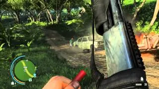 Far Cry 3 on AMD R9 280x