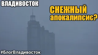 Снежный апокалипсис во Владивостоке. Состояние дорог, обзор 30.11.2021. #блогвладивосток