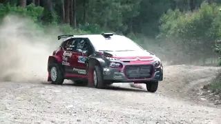 Sean Gelael at Danau Toba Rally 2019