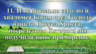 ВидеоБиблия Послание к Римлянам глава 5 Бондаренко