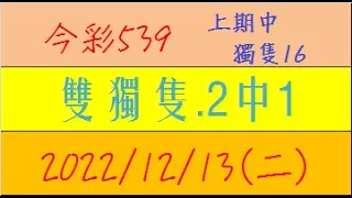 今彩539 『雙獨隻.2中1』上期中獨隻16【2022年12月13日(二)】肉包先生