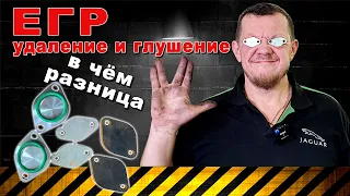 глушение и удаление ЕГР // что есть что 