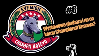 #HODOWLANEZERO - odc. 6 - Wystawowa gimbaza i na co komu Championat Kosowa?