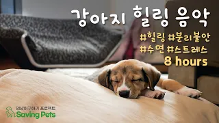 🐶강아지 힐링음악 🎵 ㅣ강아지가 좋아하는 음악 (8시간)