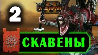 Скавены прохождение Total War Warhammer 2 за Квика - #2