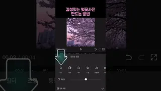 벚꽃사진이나 영상 분위기있게 보정하는 방법