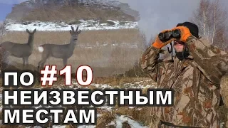 #10. Видео-Охота на кабана и косулю. 17 февраля 2018г.