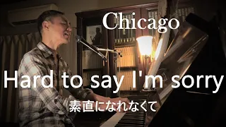 Hard to say I'm sorry / Chicago (lyrics) COVER 素直になれなくて / シカゴ ★Performed by Takehito 洋楽ピアノ弾き語り