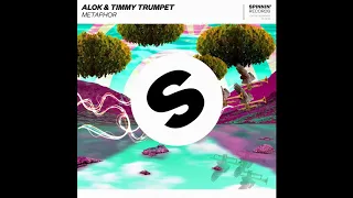 Alok & Timmy Trumpet - Metaphor (Extended Mix)