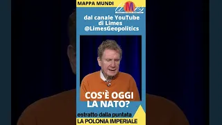 Lucio Caracciolo parla della #Nato nella puntata La Polonia imperiale https://youtu.be/n8mAdtg6bqk