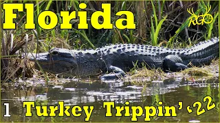 Hunting Public Land in South Florida for Osceola Turkeys | Turkey Trippin' 2022 | RGO #344