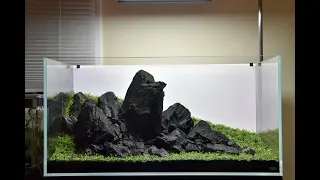 Aquascaping my ADA 90P Iwagumi Aquarium