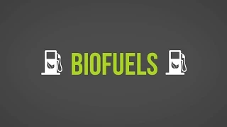 Biofuels 101