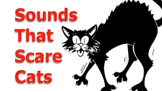 Make your Cat or Dog Go Crazy,   ~ Sounds Cats Hate All Time