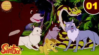 Simba The King Lion Episode 1 | New Animated Cartoon Story In 2024 | Boonie Bears Hindi