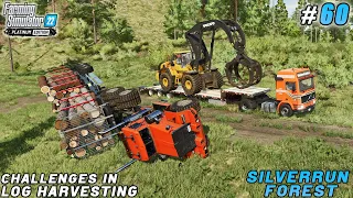 Gathering Resources for the Launch of a New Production Plant | Silverrun Forest | FS 22 | ep #60
