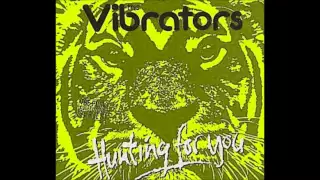 The Vibrators - "You Gimme a Fever"