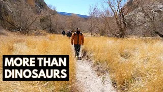 Exploring Dinosaur National Monument | Utah and Colorado Units