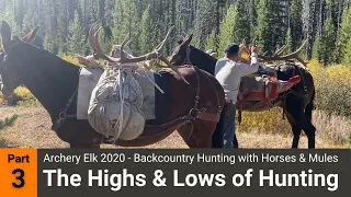 Archery Elk 2020 - Backcountry Hunting with Horses & Mules: Part 3 - The Highs & Lows of Hunting