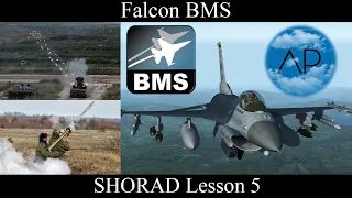 Falcon BMS - SAM Reaction Fundamentals SHORADS SA-14, 15, 16, 19 - Lesson 5