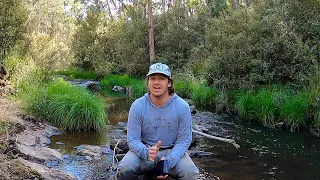 My Best 3 Australian River Dry Flies | Fly Fishing