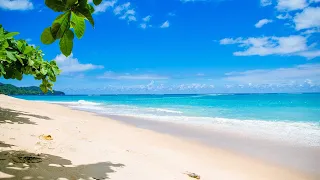 Island of Happiness in the Philippines | Relaxing Ocean View