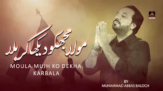 Moula Mujh Ko Dekha Karbala - Muhammad Abbas Baloch - 2020 | Arbaeen Noha 1442