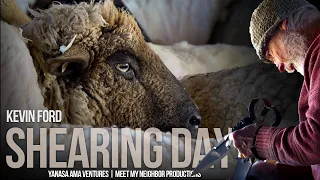 SHEARING DAY | Blade Shearing or Hand Shearing Sheep