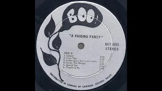 A Passing Fancy 1968 *Your Trip*