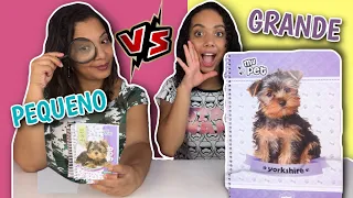 MATERIAL ESCOLAR CHALLENGE - Grande vs Pequeno #2