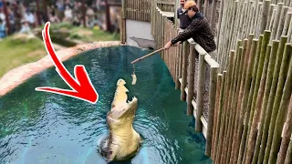 Feeding The Worlds Biggest CROCODILE in Florida!