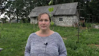 Жирующий виноград. Как распознать жирование, причины, способы борьбы с жированием