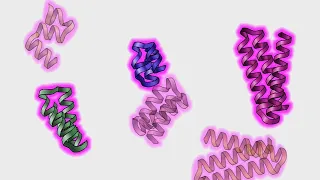 How SDS Works (Life Sciences Outreach, Harvard University)