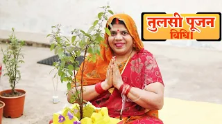 माँ तुलसी दैनिक पूजन विधि। Tulsi Daily Puja Vidhi