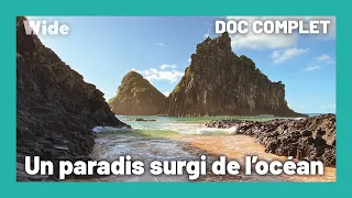 Fernando de Noronha : l'île rebelle I WIDE