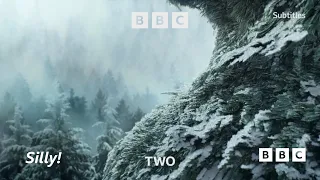 BBC Two | Magical Ident | Christmas 2021