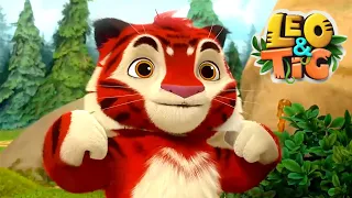 Leo and Tig 🦁 16-20 episodes in a row 🐯 Funny Family Good Animated Cartoon for Kids