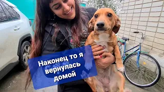 Что с котенком после аварии? Как встретили нас Дома😍 Приехали с Москвы.