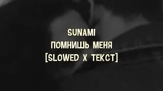 SUNAMI – Помнишь меня [Slowed x Текст]