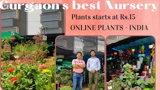 Cheapest Nursery in Gurgaon | Plants starts at Rs15 | Online Plants in India | Durga Nursery Part1