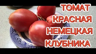 ОБЗОР И ДЕГУСТАЦИЯ ТОМАТА КРАСНАЯ НЕМЕЦКАЯ КЛУБНИКА.