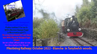 Ffestiniog Railway: October 2022 - Blanche in Tanybwlch woods.