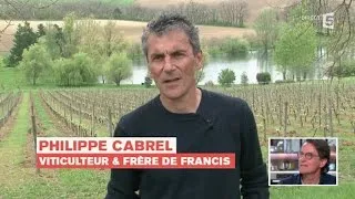 Francis Cabrel vu par son frère - C à vous - 27/04/2015