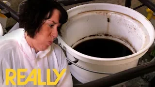 Cleaner Throws Up After Finding A Pot Filled With Human Excrement | Call The Cleaners