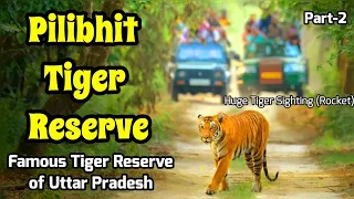 Pilibhit Tiger Reserve | उत्तर प्रदेश का नंबर एक टाइगर रिजर्व | Tiger Sighting  #wildlife #tiger P-2