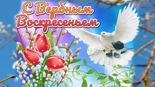 С ВЕРБНЫМ ВОСКРЕСЕНЬЕМ! КРАСИВАЯ ВИДЕО ОТКРЫТКА! ПОЗДРАВЛЕНИЕ ДЛЯ ДРУЗЕЙ!